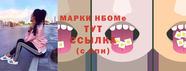 apvp Алзамай