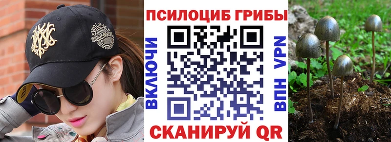 kraken зеркало  купить наркотик  Нефтекамск  Псилоцибиновые грибы MAGIC MUSHROOMS 